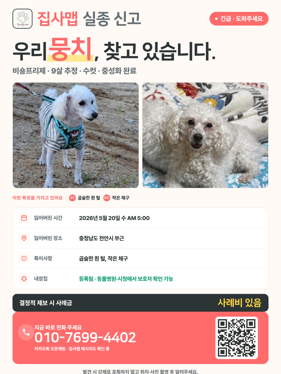 뭉치 분실 신고 포스터