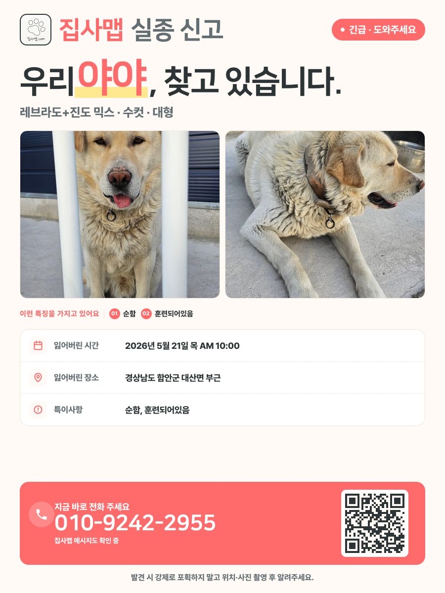 야야 분실 신고 포스터