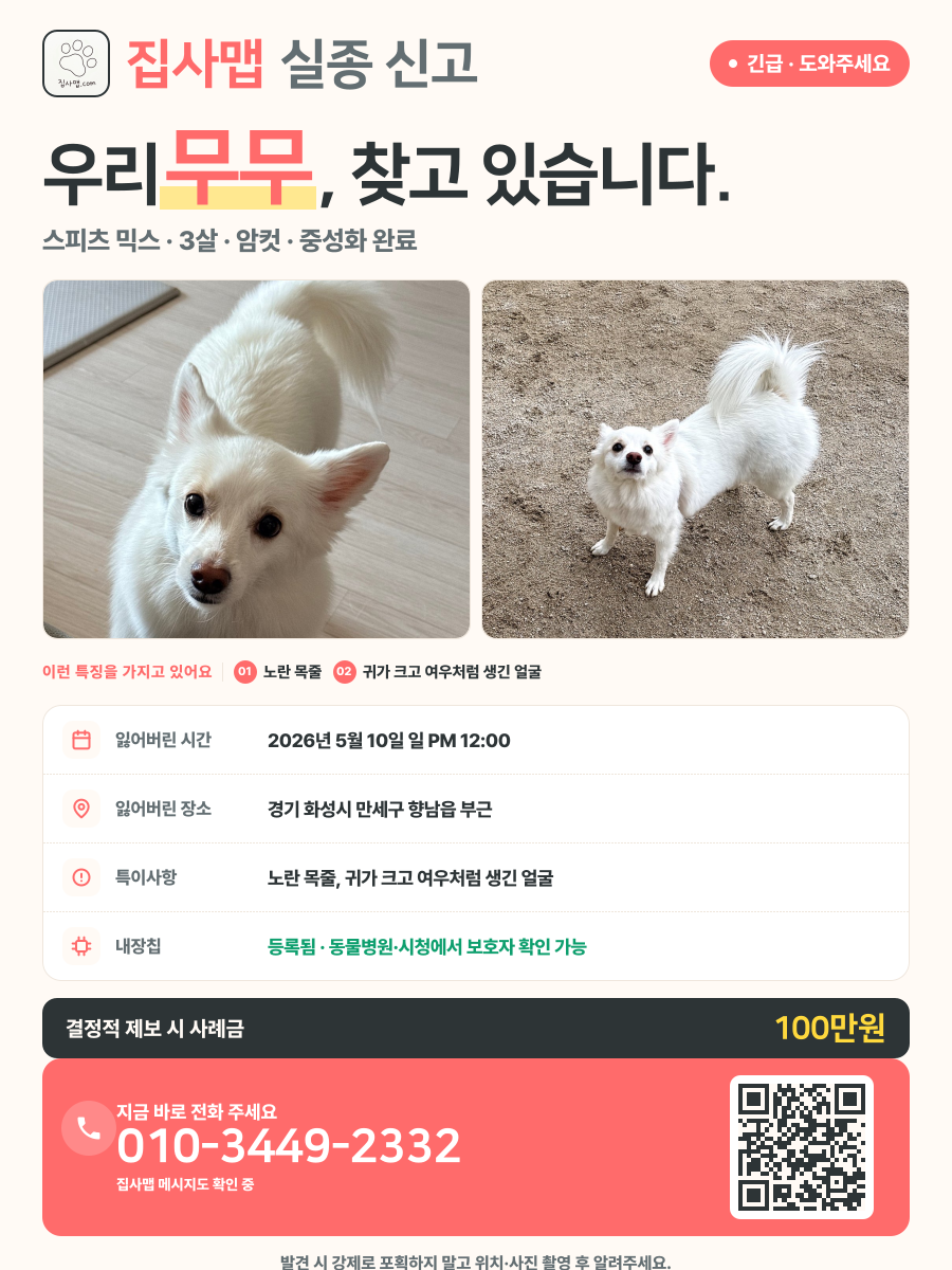 무무 분실 신고 포스터