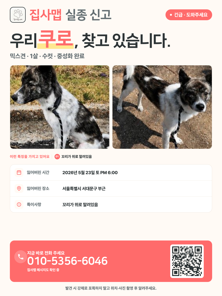 쿠로 분실 신고 포스터