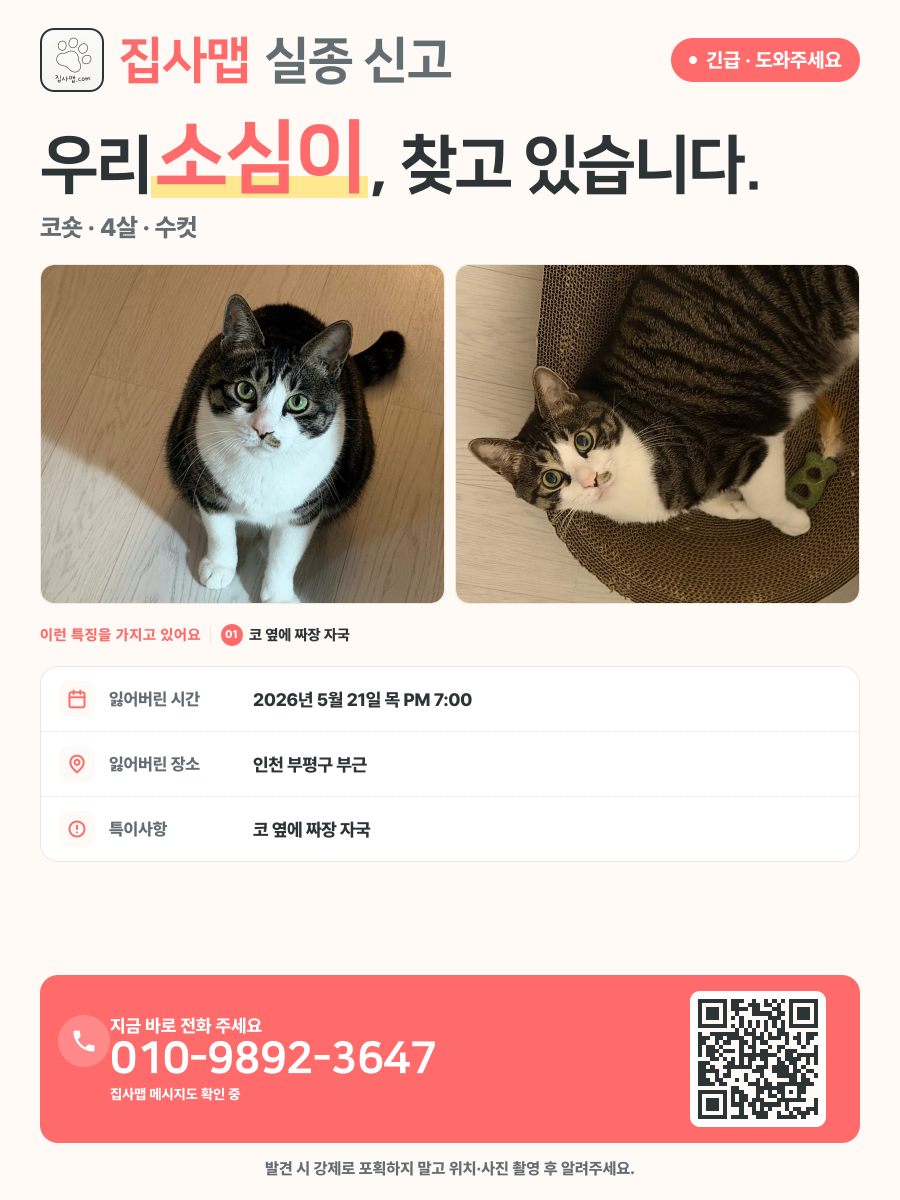 소심이 분실 신고 포스터