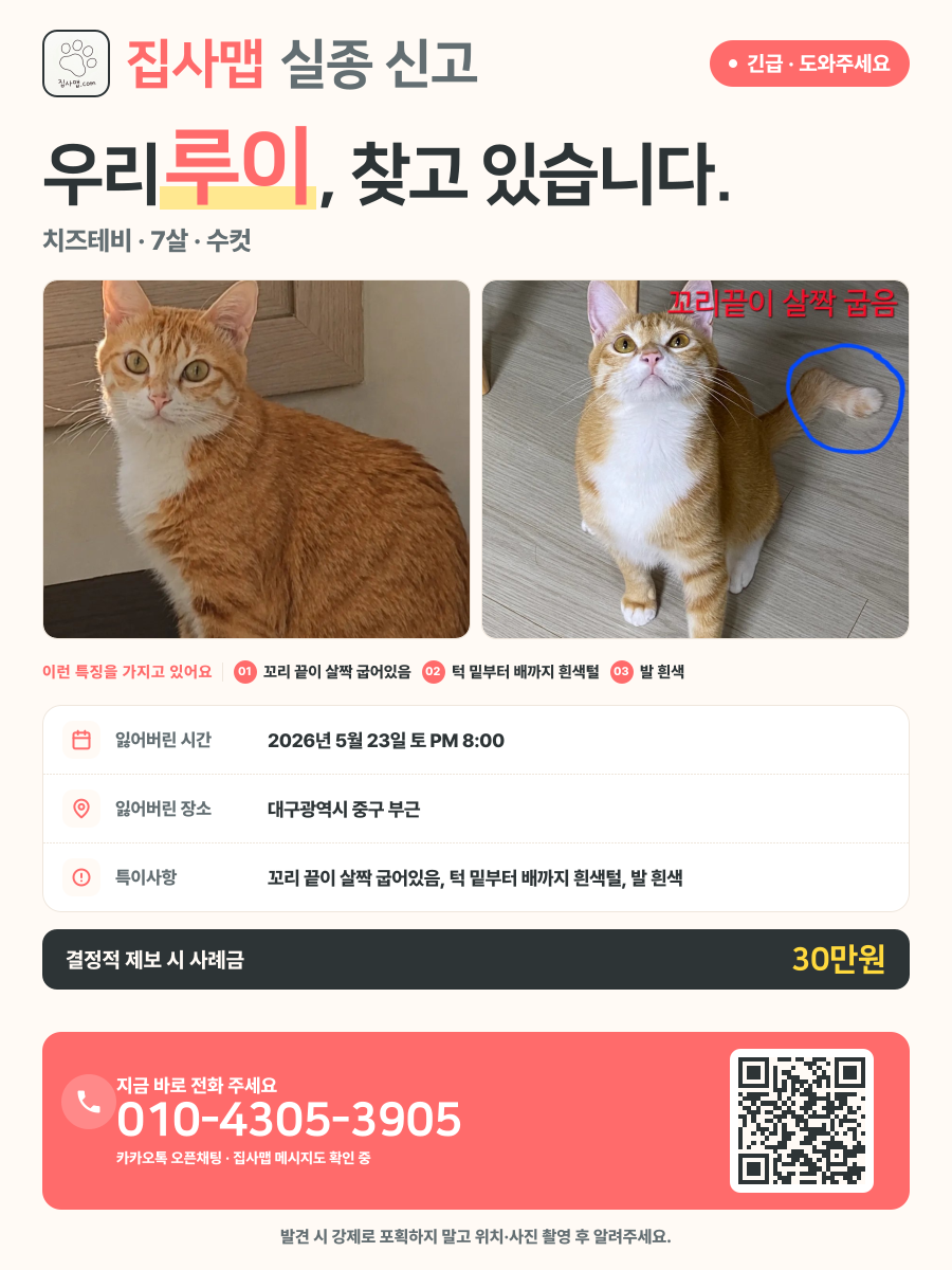 루이 분실 신고 포스터